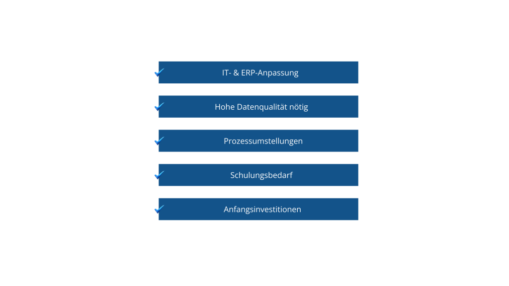Grafische Darstellung zentraler Herausforderungen bei der Einführung und Umsetzung der E-Rechnung.